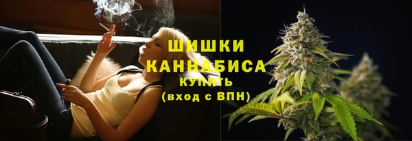 дмт Дмитровск