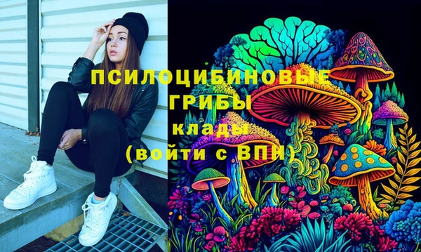 ALPHA PVP Дмитриев