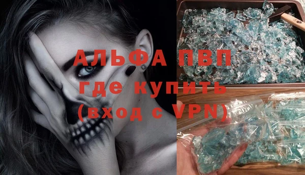 дмт Дмитровск