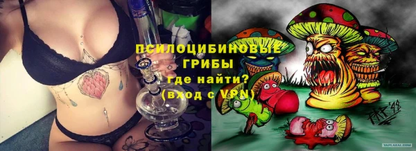 ALPHA PVP Дмитриев