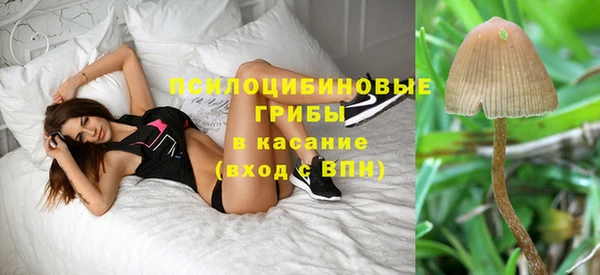 ALPHA PVP Дмитриев