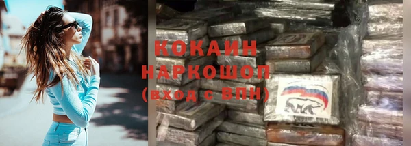 дмт Дмитровск