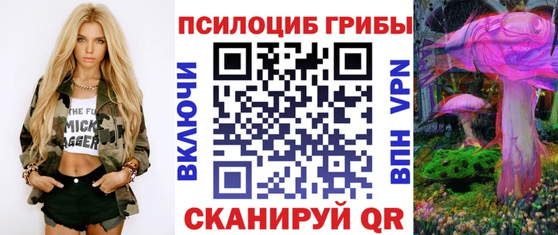 Галлюциногенные грибы Psilocybine cubensis  Архангельск 